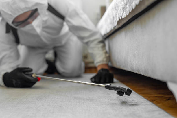Professional Cockroach Control technician working in Pasadena, MD